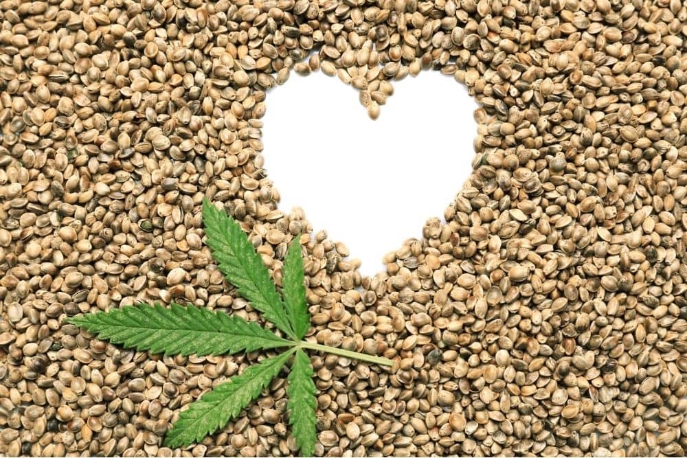 hemp-seeds-with-hemp-plant-heart