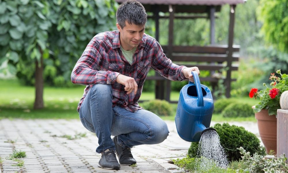 man caring for plant and garden outside