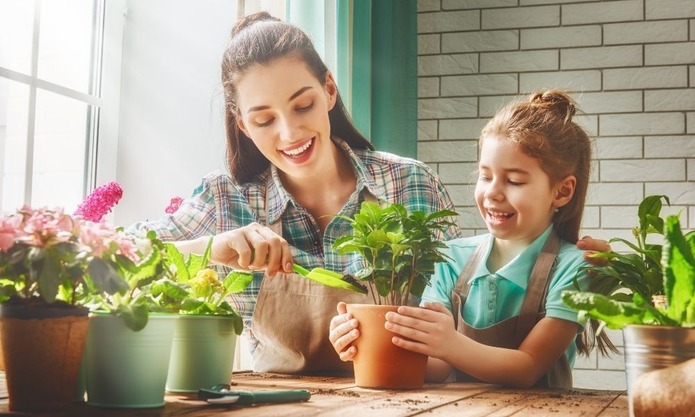 family planting and gardening together indoors