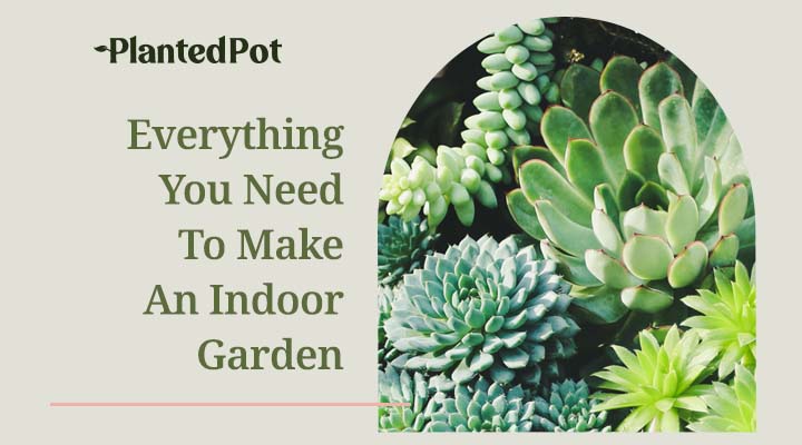 indoor garden ideas