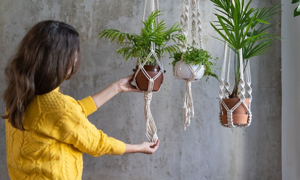 a woman in a yellow sweater hanging a house plant next to other hanging plants