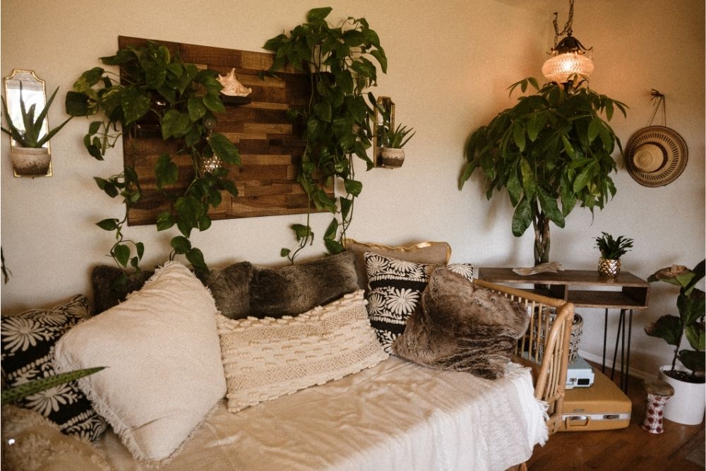 plants-around-wooden-interior-design