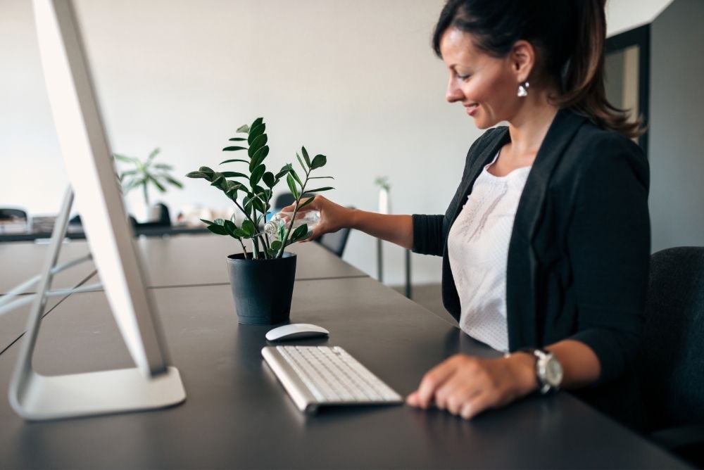 woman-sitting-at-office-with-houseplant