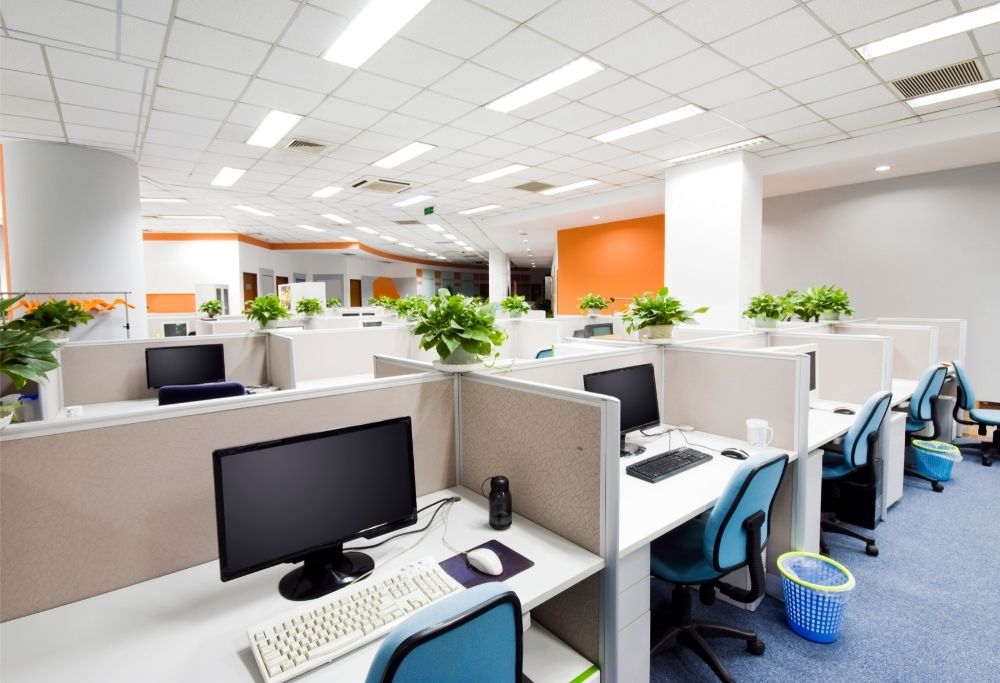 cubicle-with-plants-orange-walls