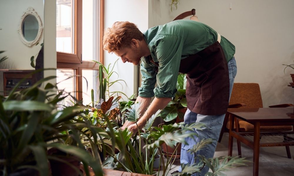 man caring for his plants in home