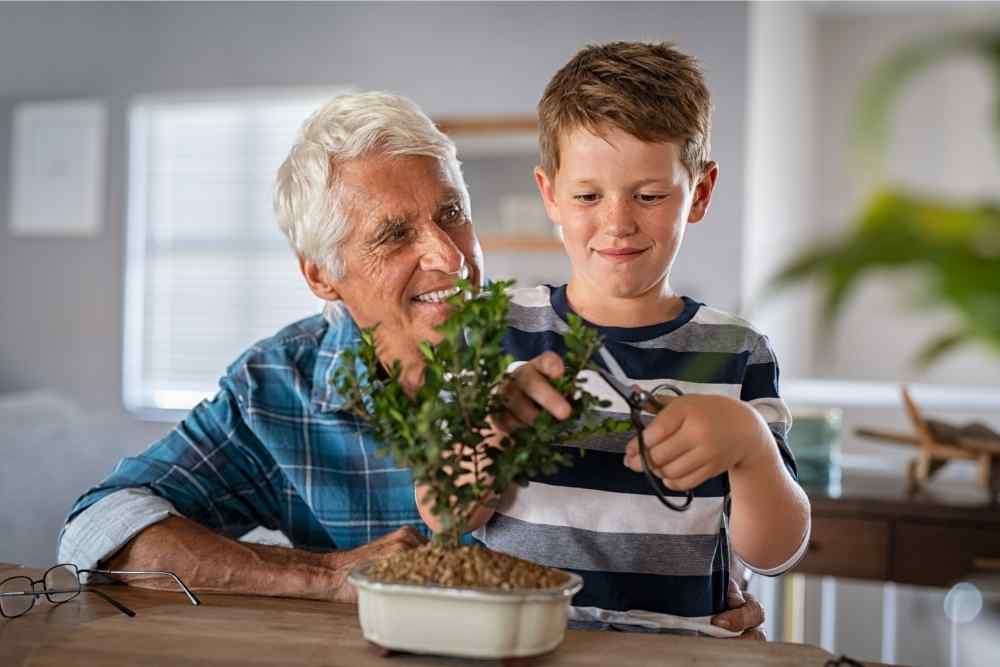 grandfather and grandson pruning