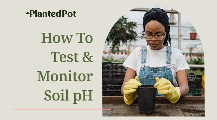 how to test soil ph