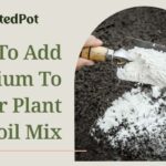 how to add calcium to soil