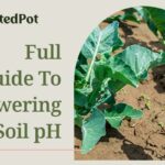 how to lower soil ph