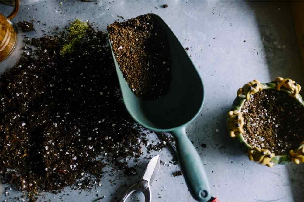 scooping dirt soil into pot