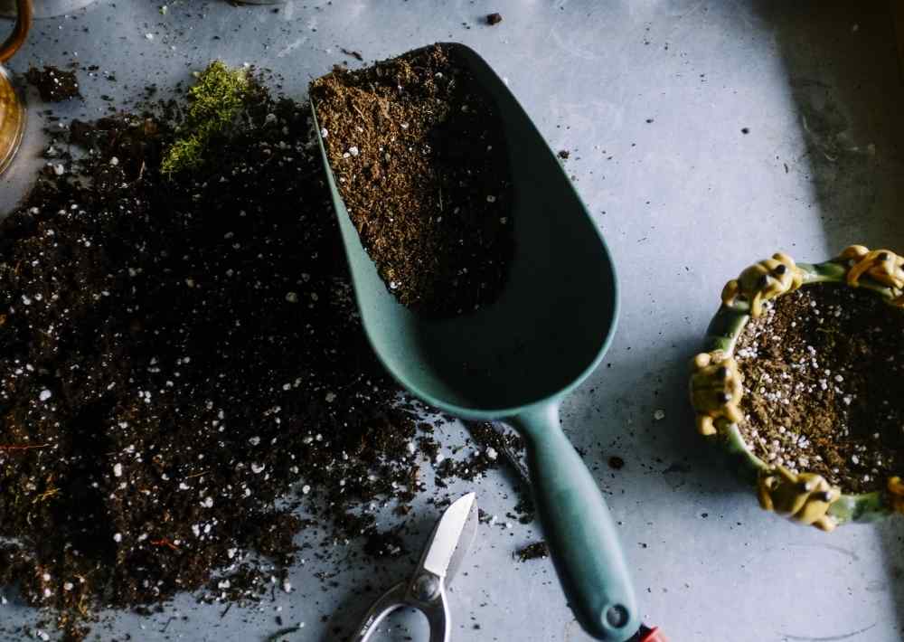 scooping soil with shovel