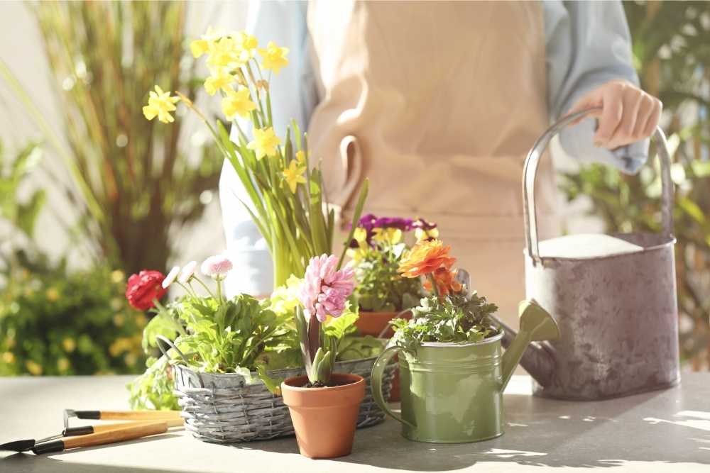florist-with-watering-can
