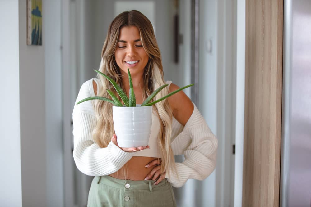 girl holding aloe plant in white pot