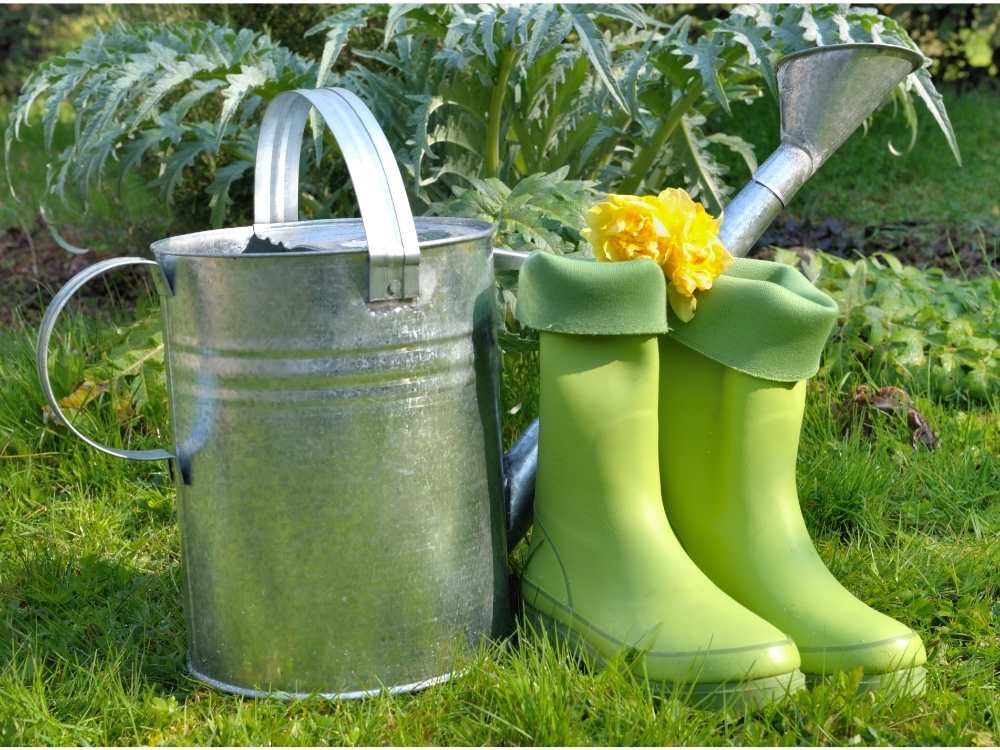 boots and watering can