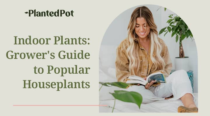 indoor plants names and pictures